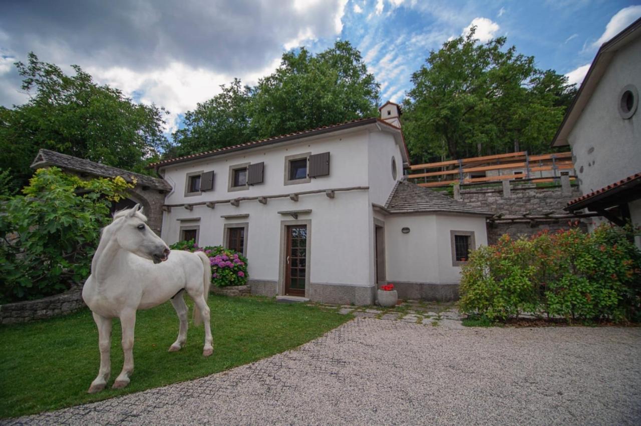 Tmbin'S Barn - Nature, Horses, Family Сежана Екстер'єр фото