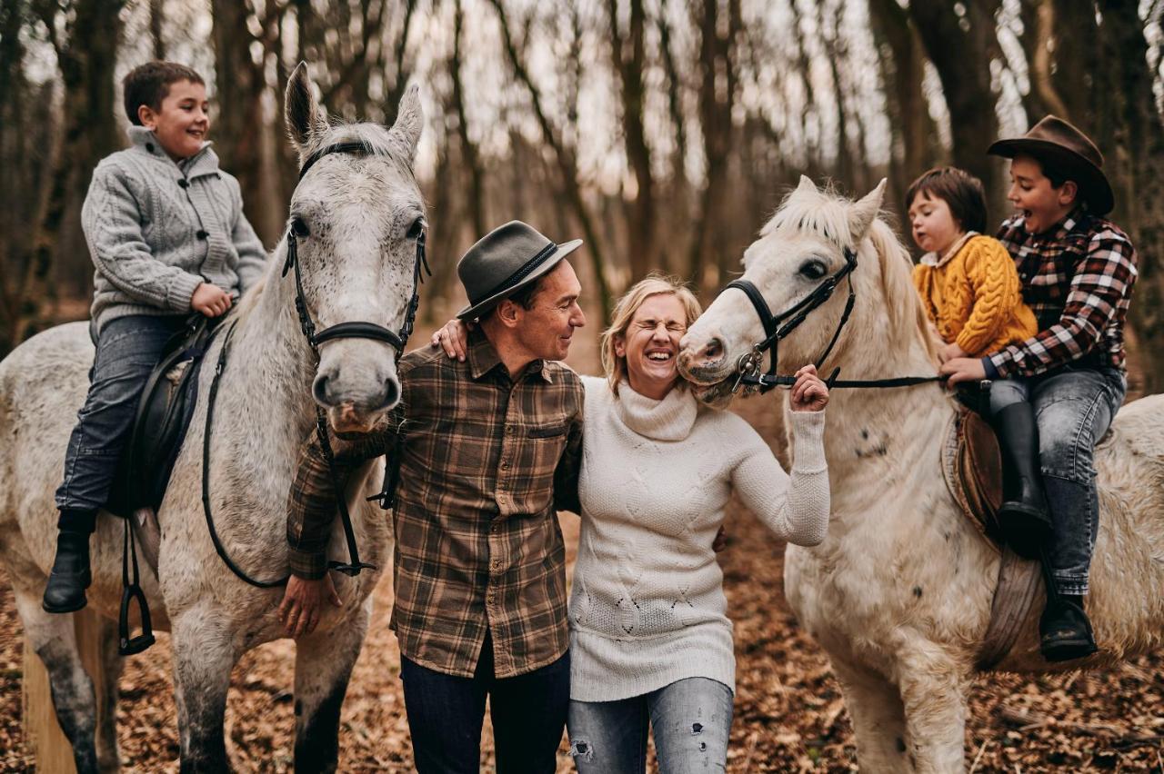 Tmbin'S Barn - Nature, Horses, Family Сежана Екстер'єр фото