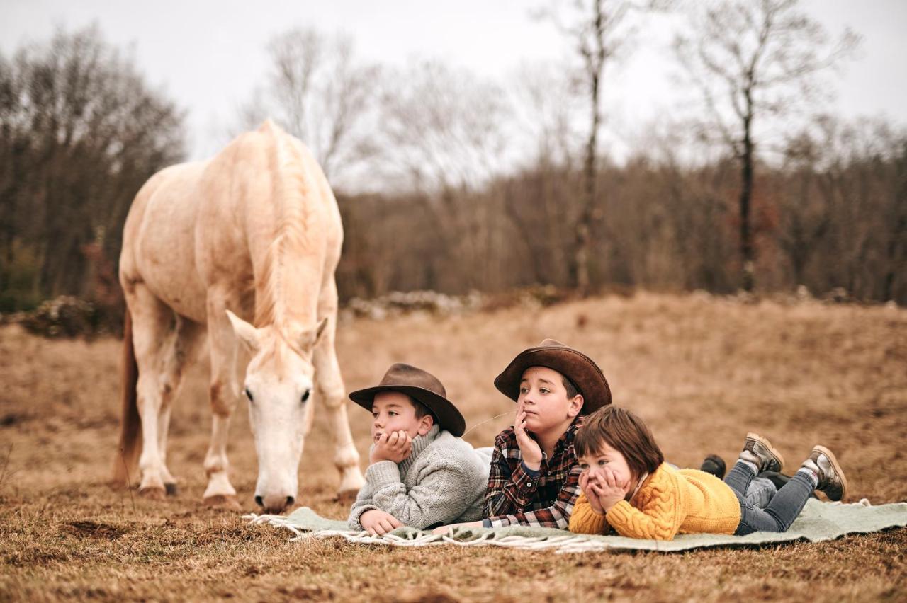 Tmbin'S Barn - Nature, Horses, Family Сежана Екстер'єр фото