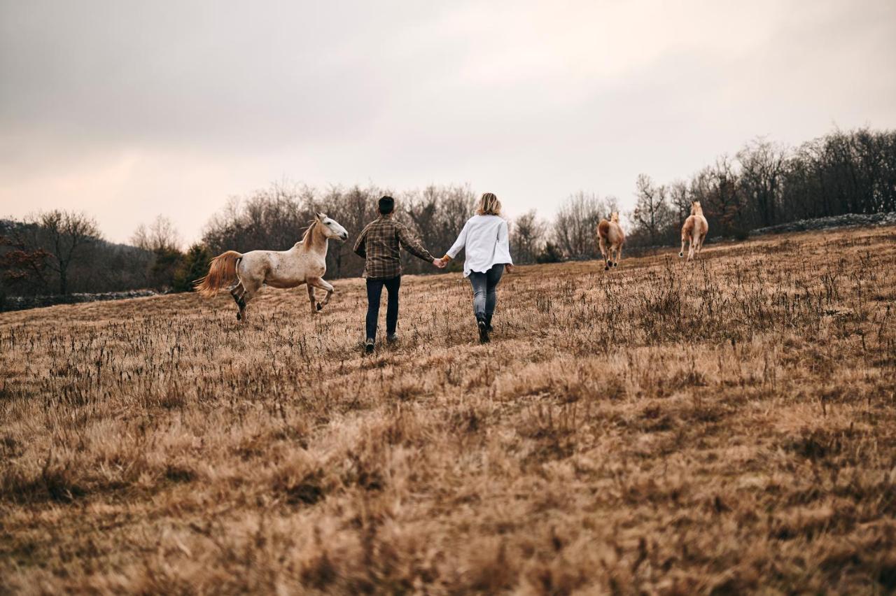 Tmbin'S Barn - Nature, Horses, Family Сежана Екстер'єр фото