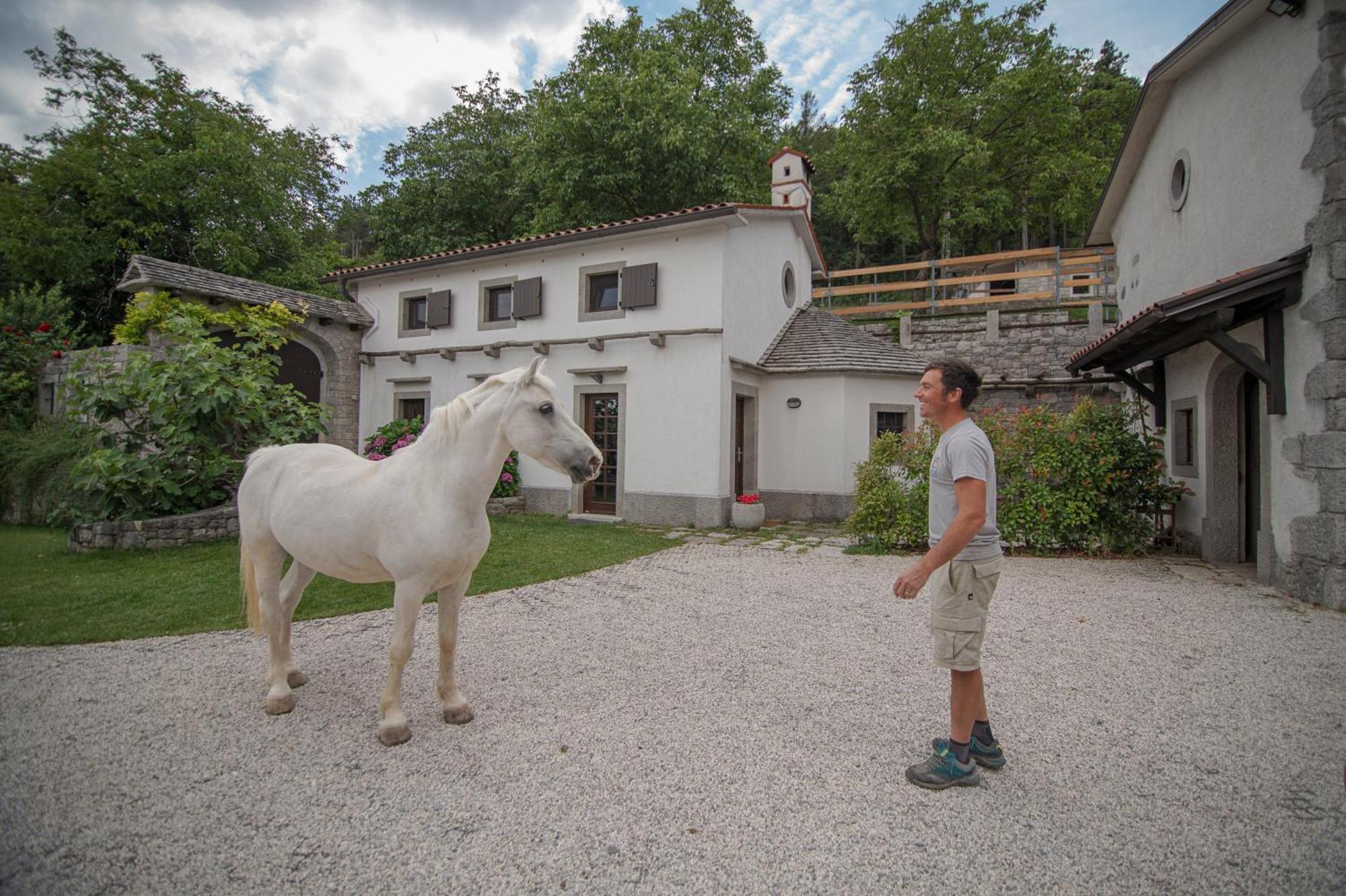 Tmbin'S Barn - Nature, Horses, Family Сежана Екстер'єр фото
